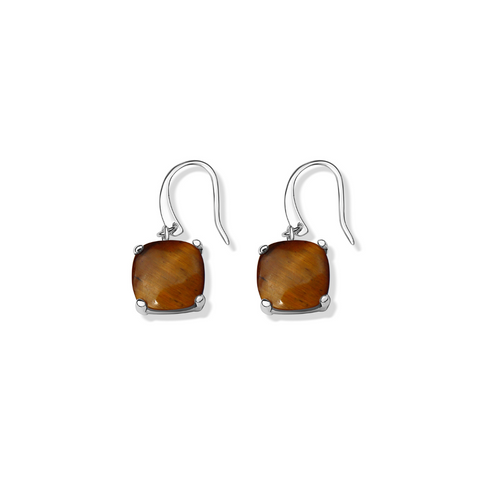 La Stele Tiger's Eye Dome Earrings