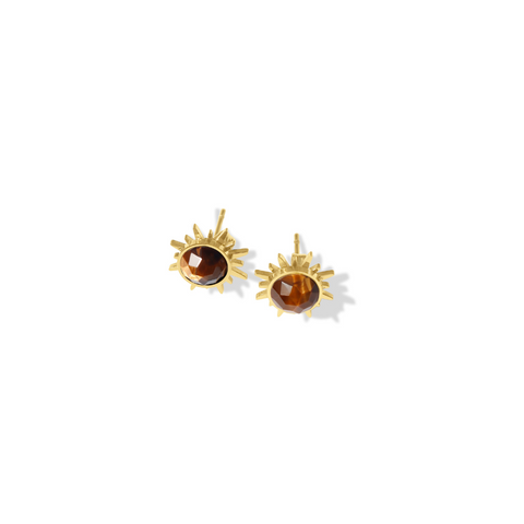 Steel Me Soleil Tiger's Eye Earrings