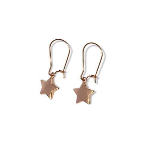 Steel Me Small Rose Gold Star Earrings
