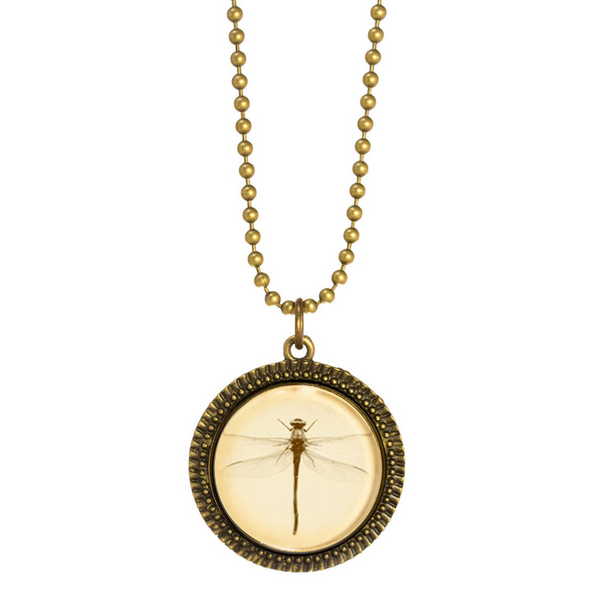 Joli Dragonfly Necklace
